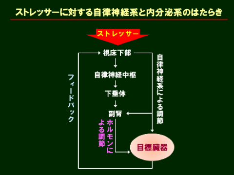 uRĩXgXΏ@ƐH`X[vŖXgXPA`v ^ É ǕF 搶